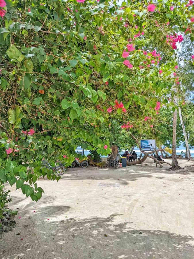 فندق Dhoadhi Retreat ثولوسدو المظهر الخارجي الصورة